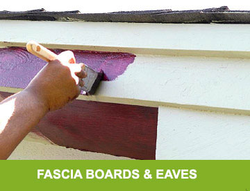 Fascia Boards & Eaves