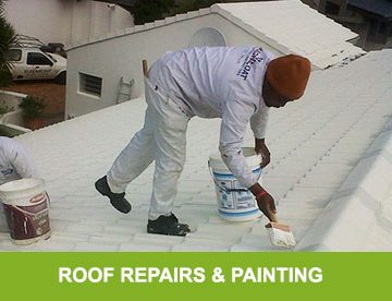 Roof Painting & Repairs